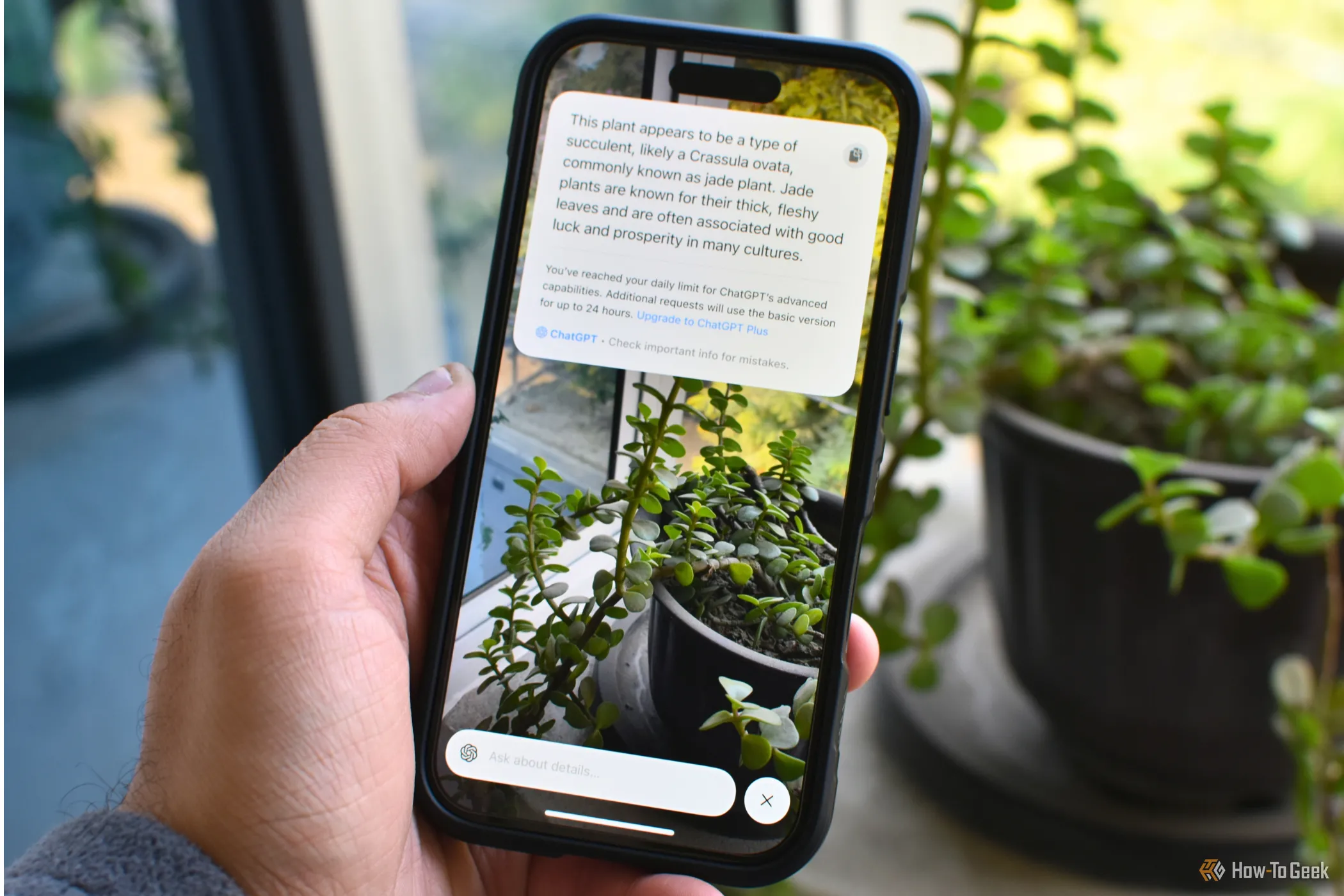 iPhone 16 với tính năng Visual Intelligence đang hiển thị trên màn hình, thể hiện khả năng AI của Apple Intelligence.