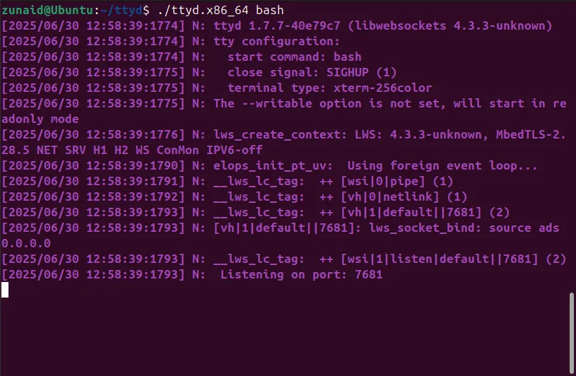 Lệnh ttyd bash đang chạy trên terminal Linux, tạo một phiên ttyd đơn giản để chia sẻ qua web.
