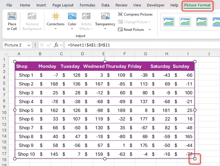 Một tập dữ liệu trong Excel được sao chép thông qua công cụ Camera, với tay cầm thay đổi kích thước và tab Picture Format được tô sáng
