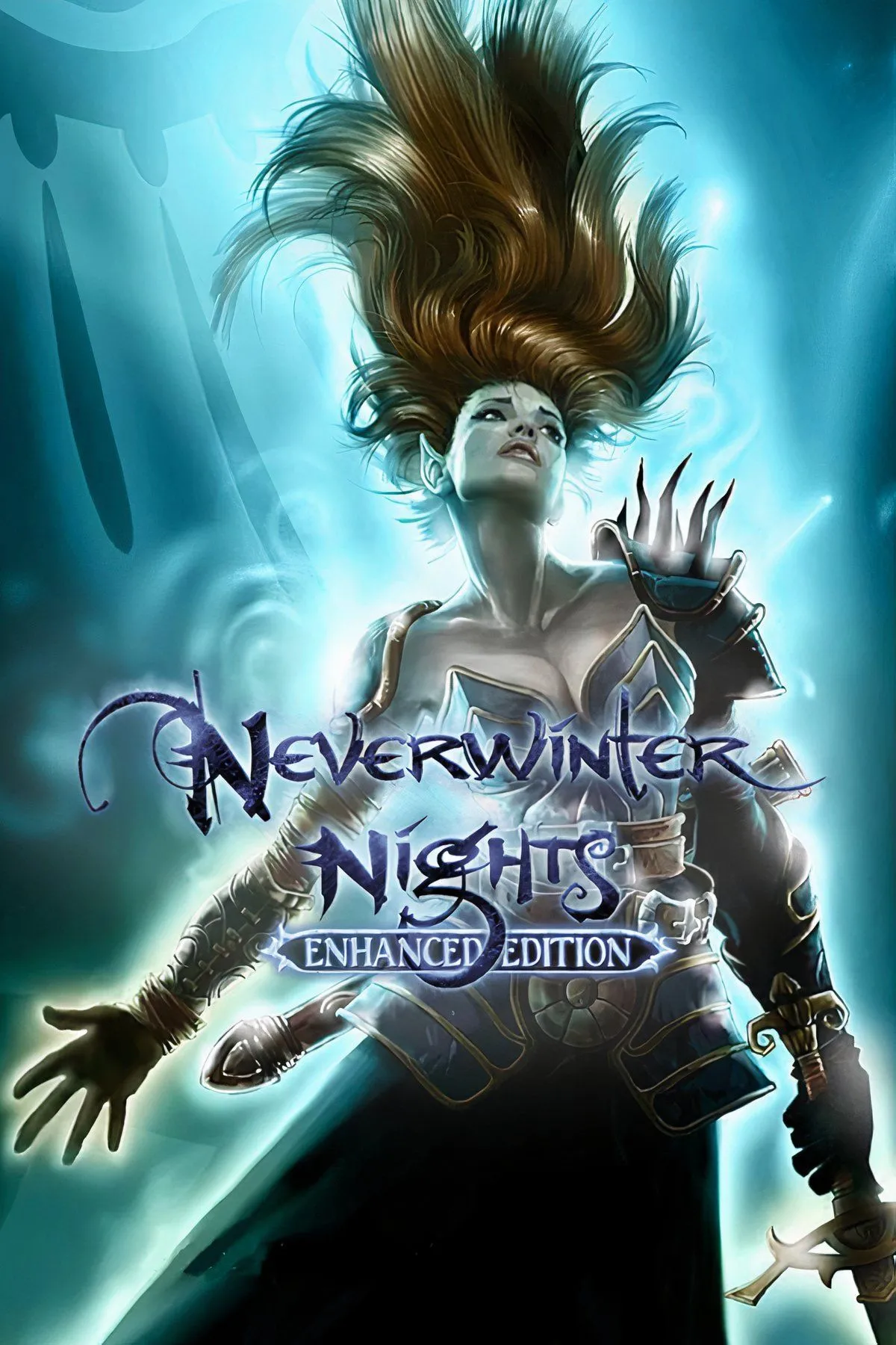 Neverwinter Nights Enhanced Edition trên màn hình Mac