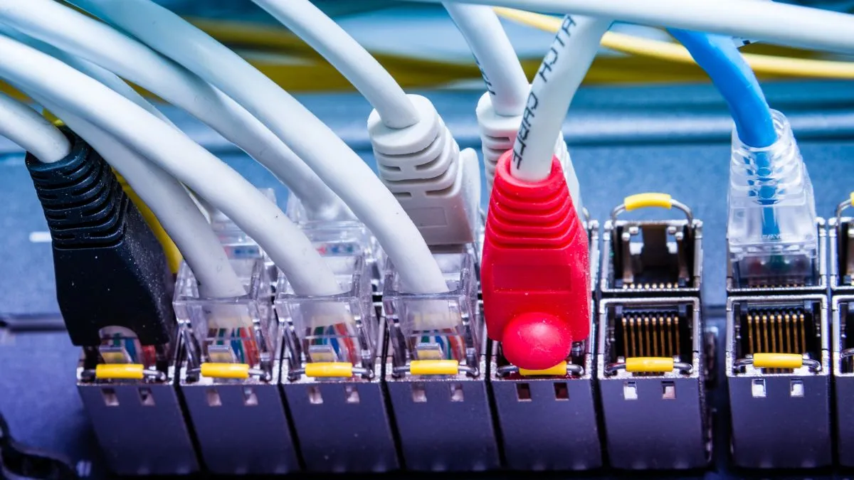 Nhiều cáp Ethernet được cắm vào các cổng của switch mạng, thể hiện khả năng kết nối.