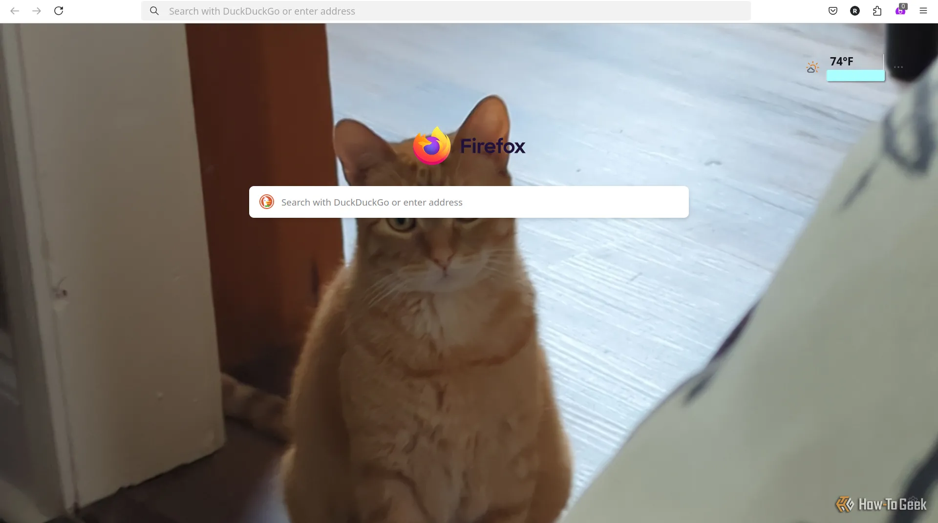 Trang chủ Firefox với hình ảnh chú mèo được đặt làm hình nền tùy chỉnh.