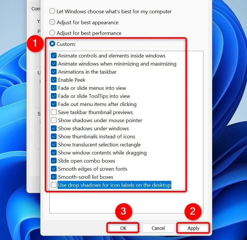 Tùy chỉnh các hiệu ứng hình ảnh trong Windows 11 để tăng hiệu suất.