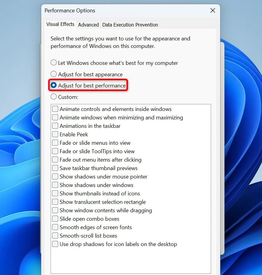 Tùy chọn &quot;Adjust for best performance&quot; trong Performance Options của Windows 11.