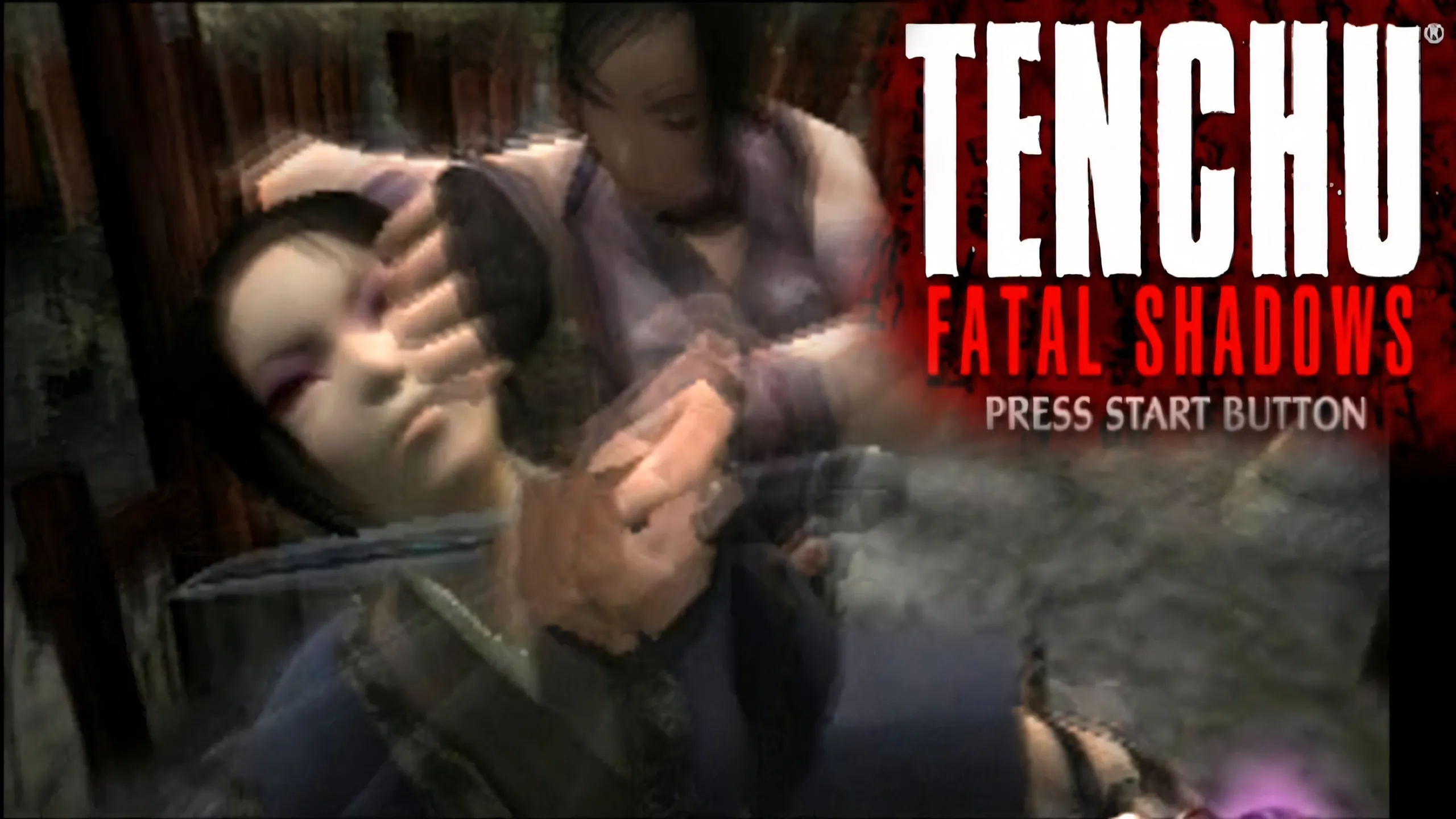 Ảnh chụp màn hình game Tenchu: Fatal Shadows với đồ họa đặc trưng của thời kỳ PS2