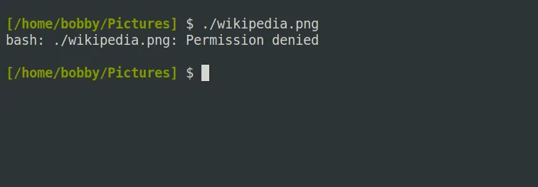 Ảnh chụp màn hình Lỗi &quot;Permission denied&quot; khi cố gắng thực thi một tệp hình ảnh không có quyền thực thi trên Linux.