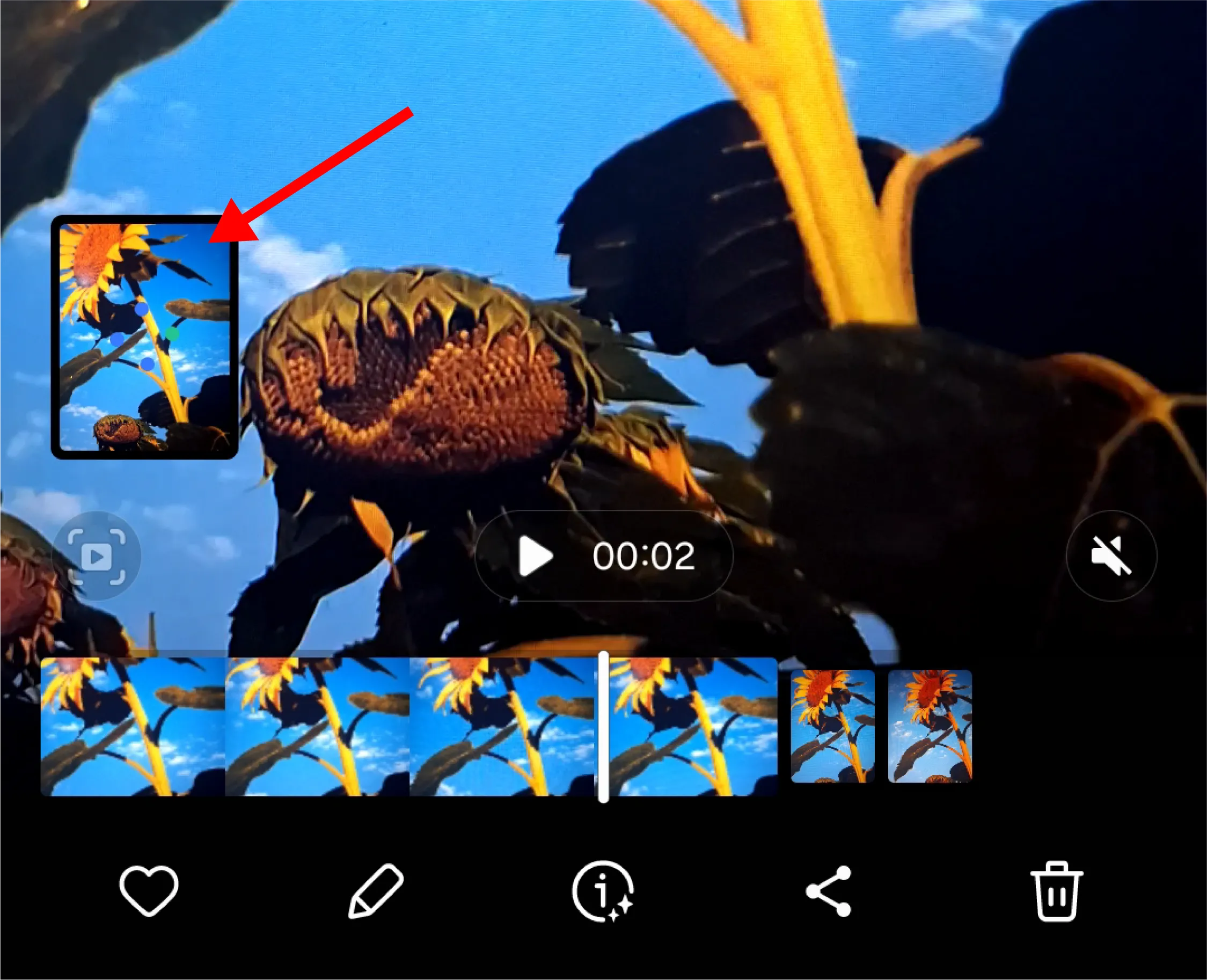 Ảnh tĩnh mới được trích xuất thành công từ video clip của Motion Photo trong ứng dụng Thư viện Samsung.