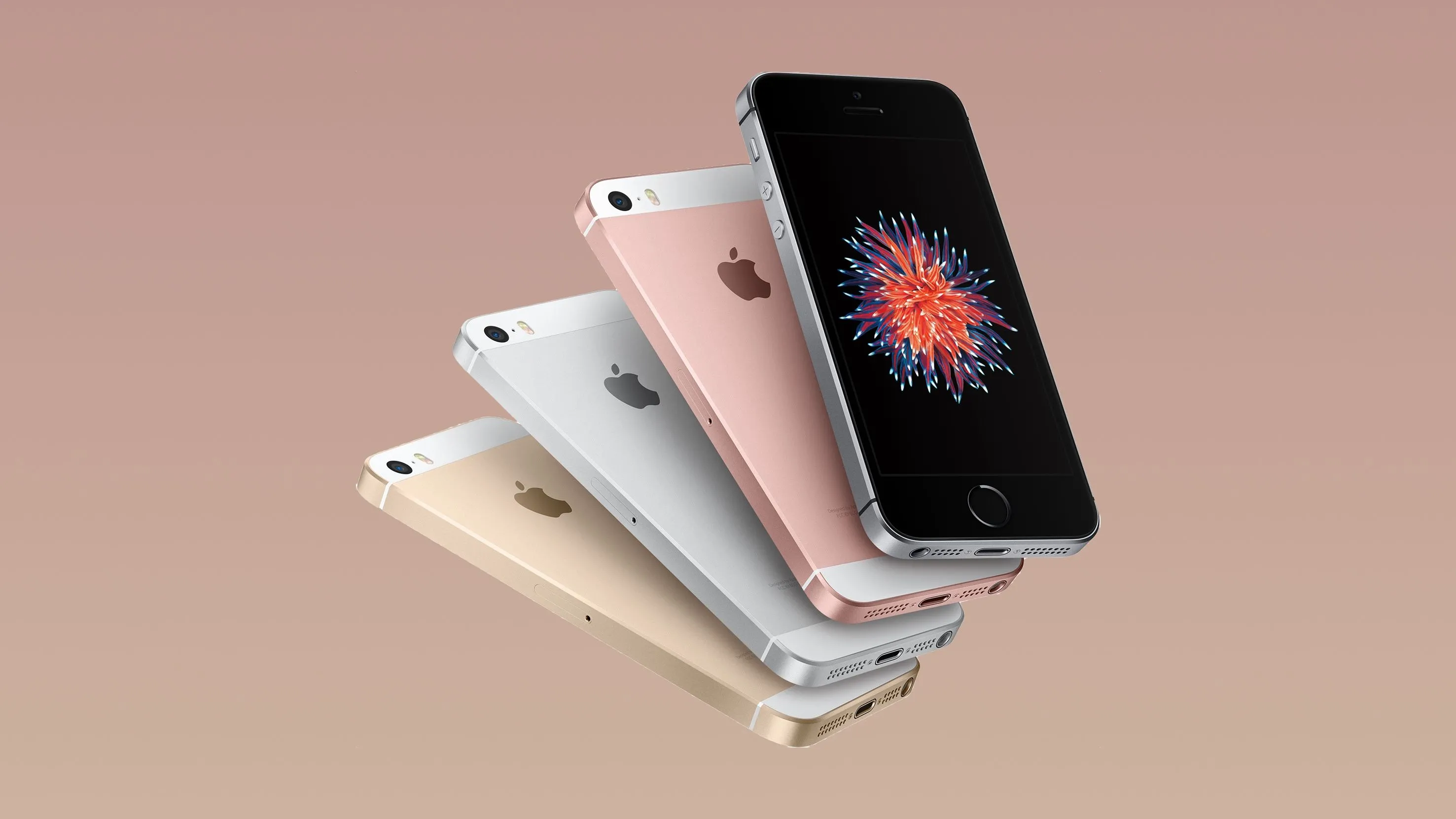 Bốn chiếc iPhone SE thế hệ đầu tiên (2016) với các tùy chọn màu sắc khác nhau.