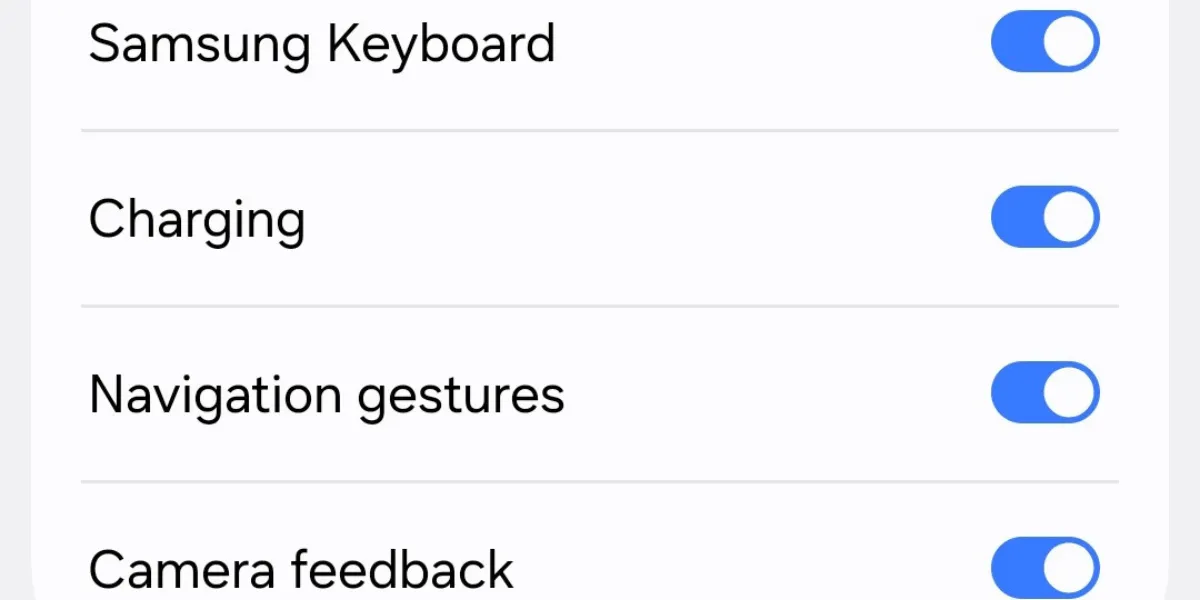 Các tùy chọn phân loại phản hồi rung xúc giác trong cài đặt Galaxy S25