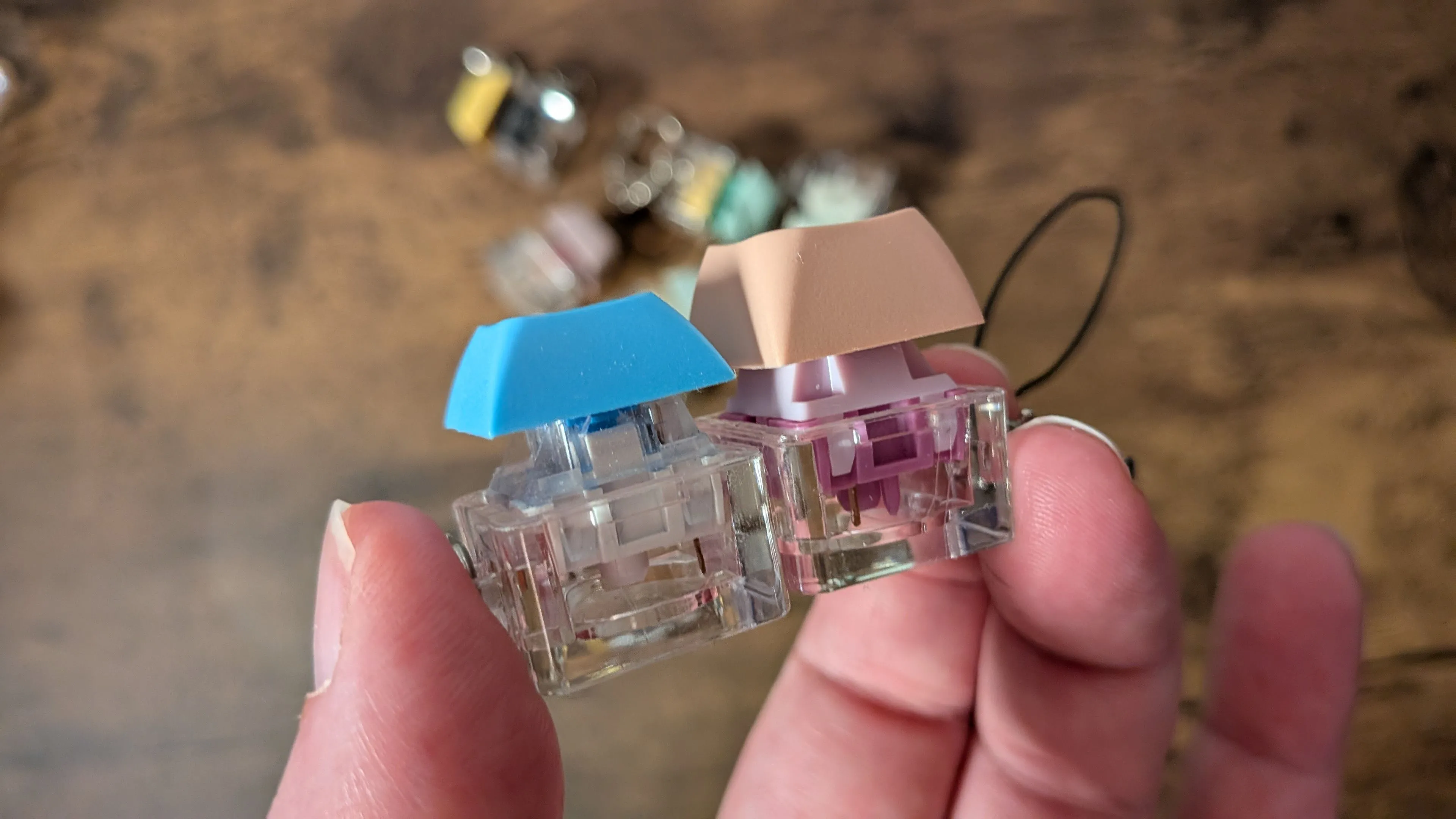 Cận cảnh hai móc khóa switch bàn phím cơ với các loại switch khác nhau, minh họa sự đa dạng về cảm giác gõ