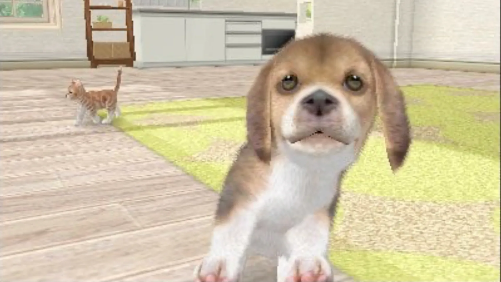 Cảnh trong Nintendogs với một chú chó và mèo trong phòng khách ảo, minh họa sự kết hợp chó mèo trong phiên bản 3DS