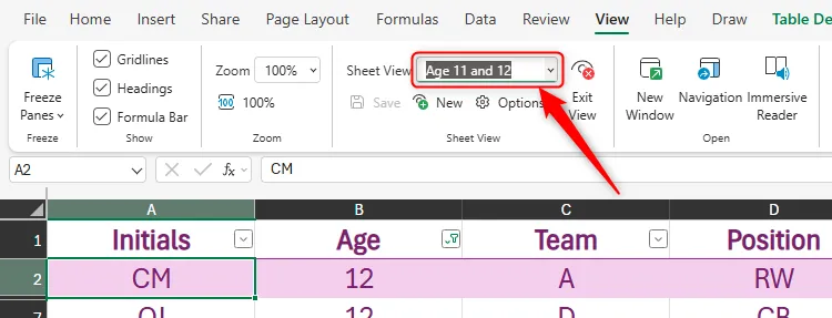 Chế độ xem trang tính trong Excel Online được đặt tên &quot;Age 11 and 12&quot;, minh họa cách quản lý và chia sẻ các góc nhìn dữ liệu khác nhau.