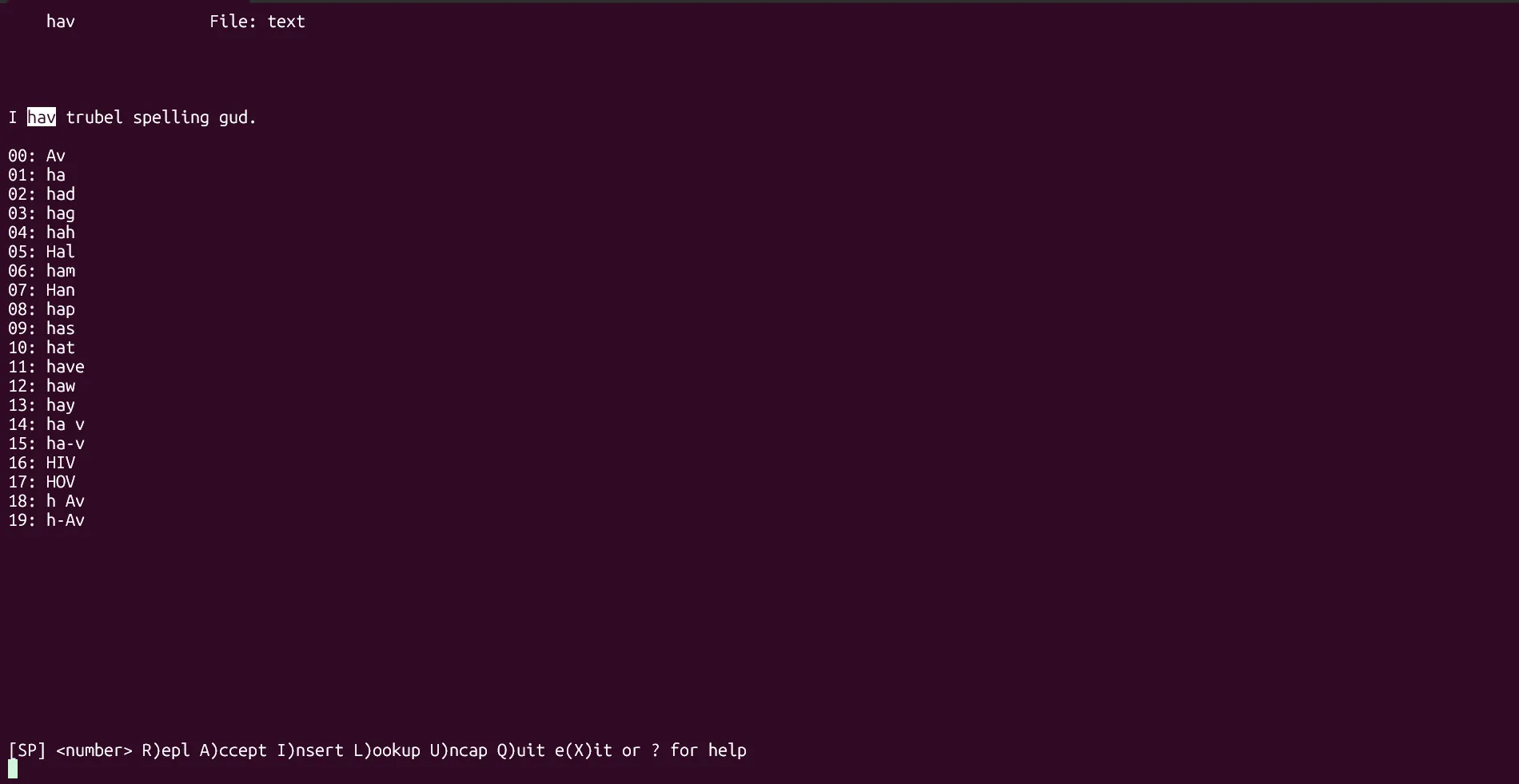 Công cụ kiểm tra chính tả Ispell đang chạy trong cửa sổ terminal Linux
