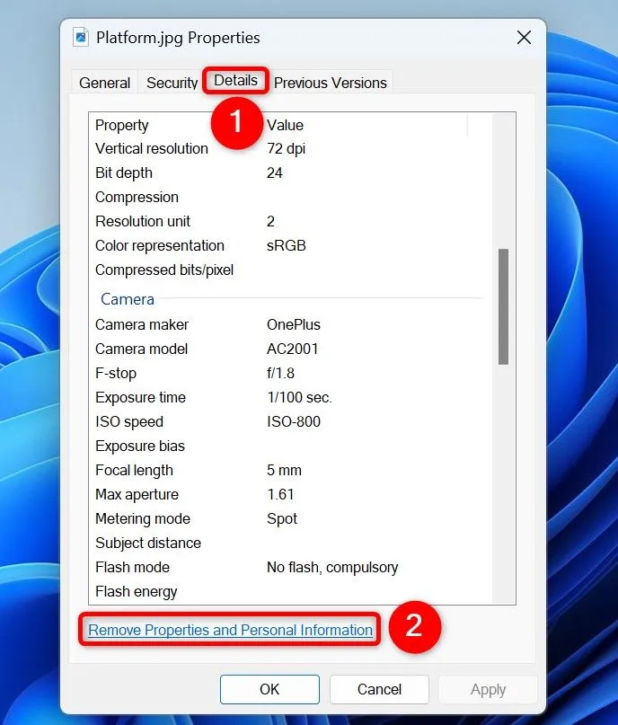 Cửa sổ Properties của ảnh, với tab Details và nút Remove Properties and Personal Information được làm nổi bật.