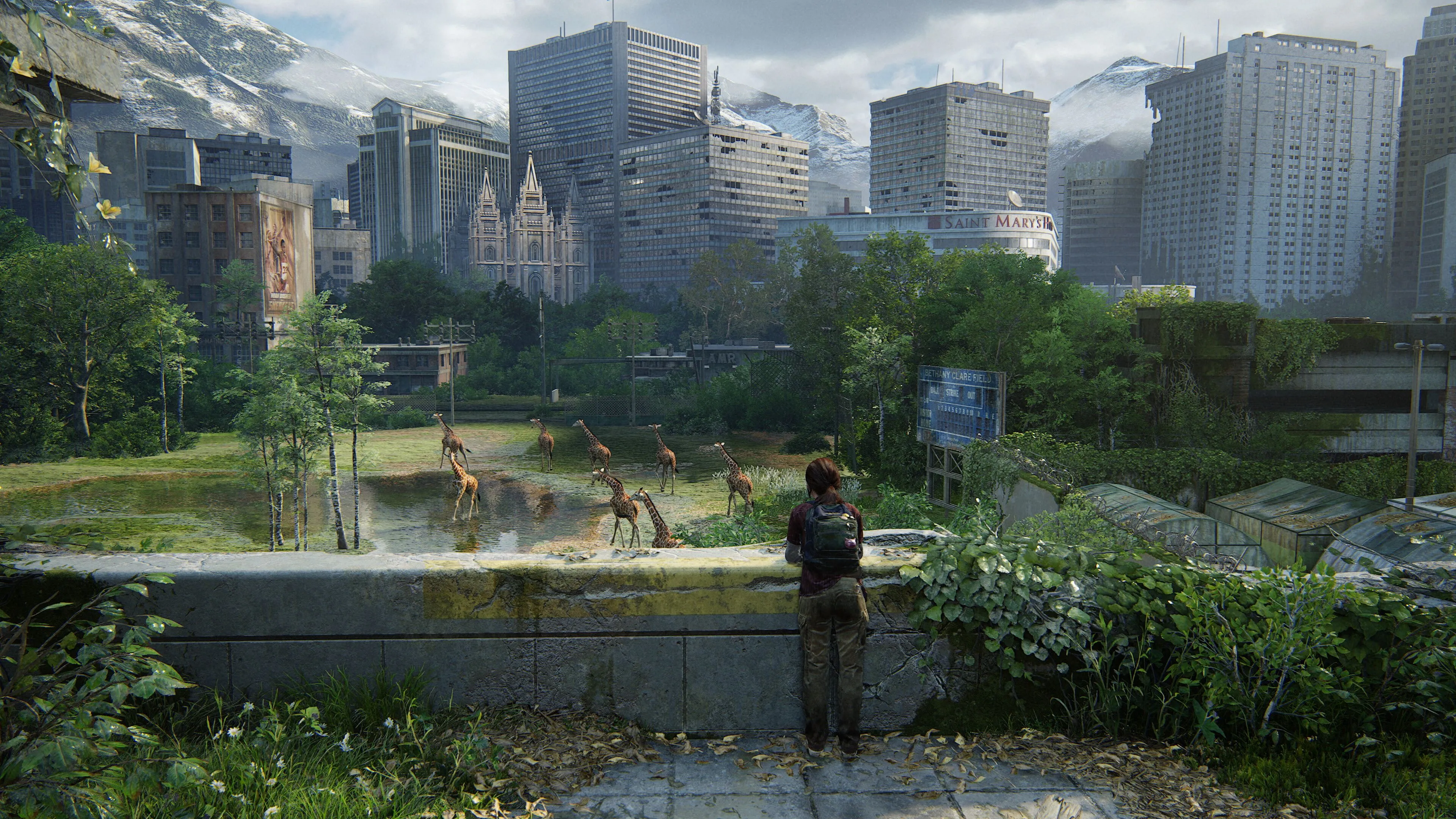 Ellie ngắm nhìn đàn hươu cao cổ trong The Last of Us: Part 1, một phân cảnh kinh điển được tái hiện với đồ họa nâng cấp.
