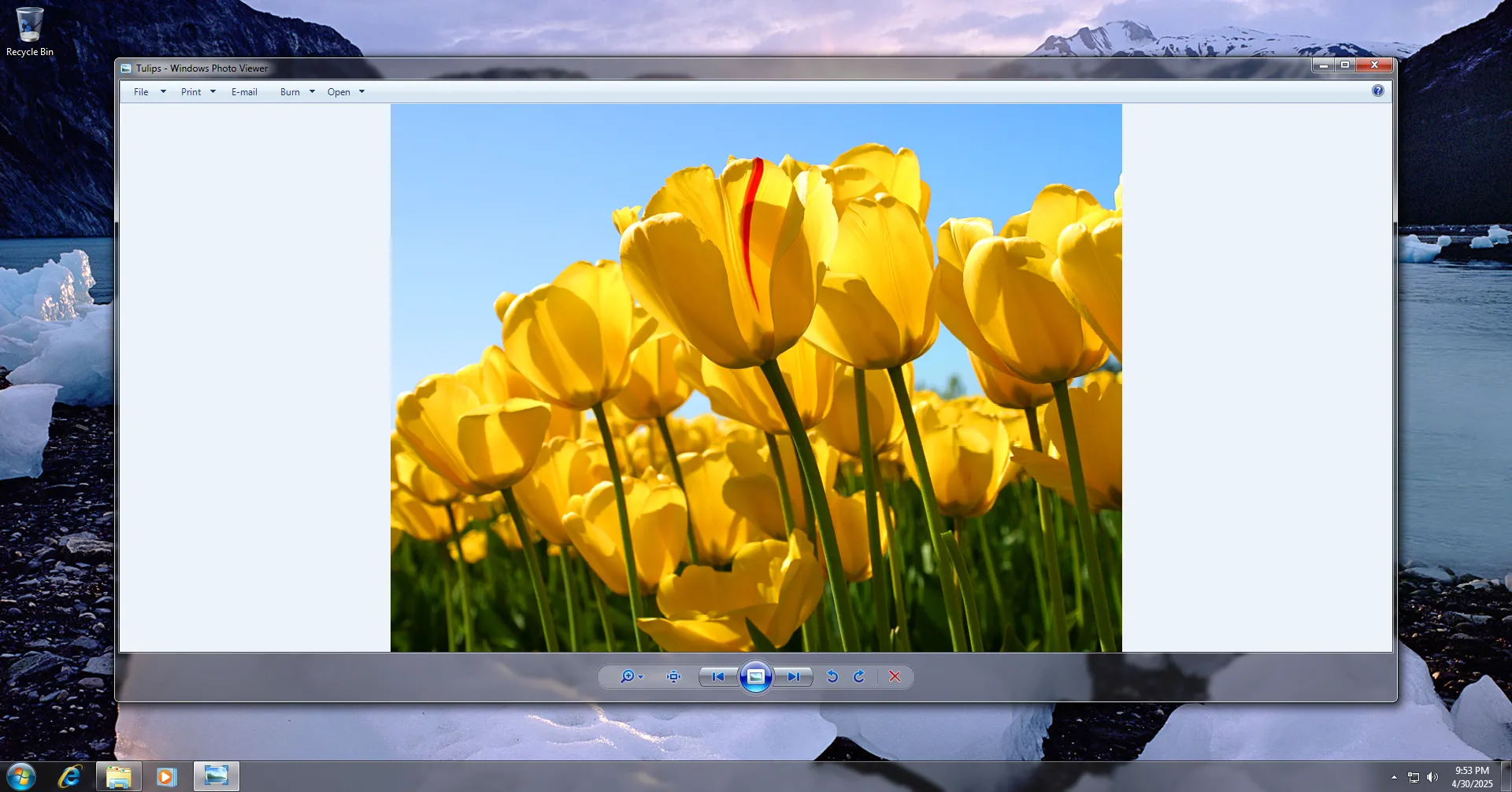 Giao diện đơn giản và trực quan của Windows Photo Viewer trong Windows 7