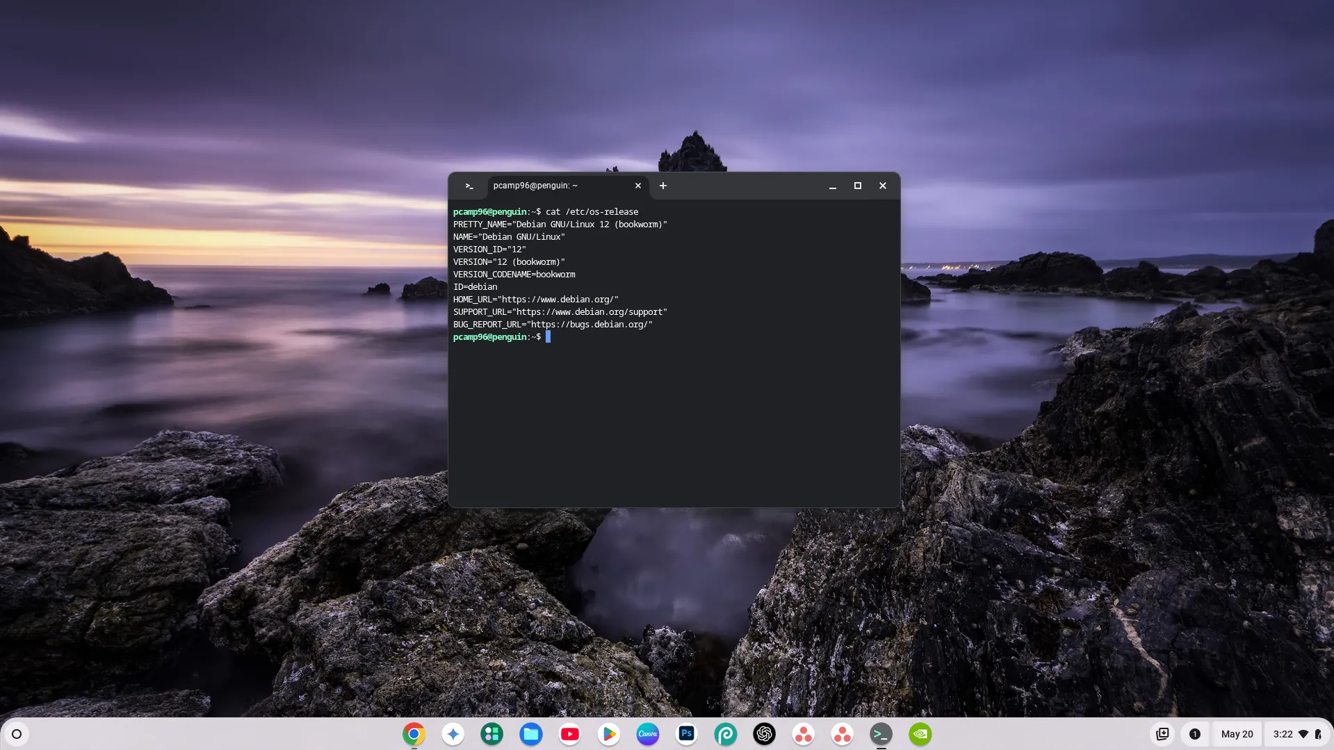 Giao diện Terminal Linux đang chạy trên Chromebook hiển thị thông tin phiên bản hệ điều hành.