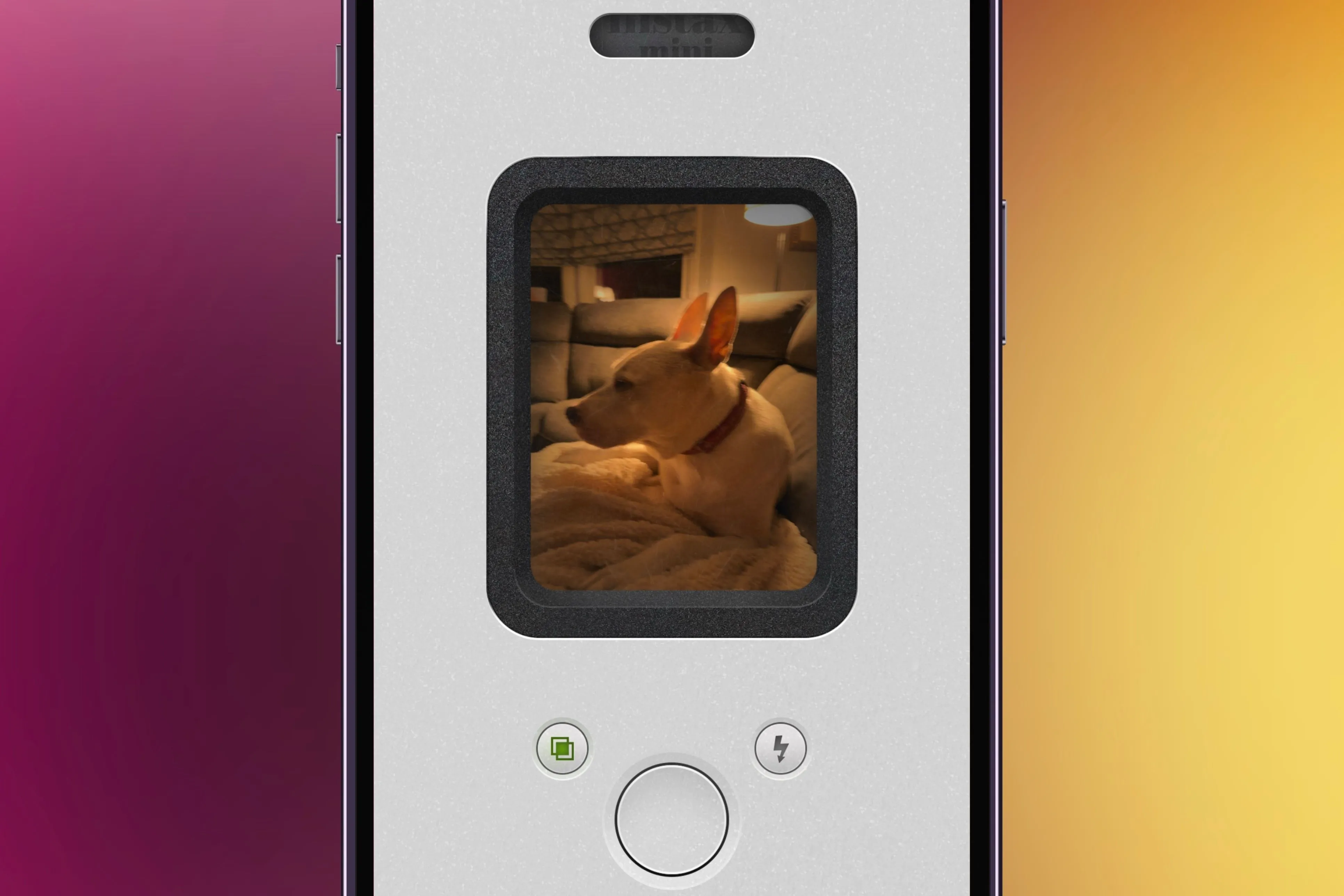 Giao diện ứng dụng NOMO Cam trên iPhone hiển thị hình ảnh một chú chó đã được chụp và xử lý hiệu ứng Polaroid.