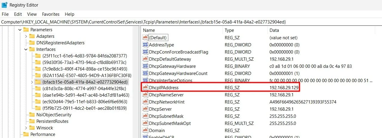 Giao diện Windows Registry Editor hiển thị giá trị chuỗi DhcpIPAdrdress, minh họa cho cấu hình phức tạp của Windows.