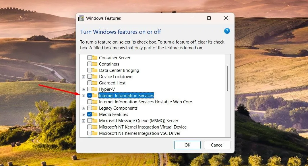 Hộp kiểm Internet Information Services trong Windows Features để bật IIS
