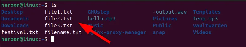 Kiểm tra các file mới được tạo bằng lệnh touch trên terminal Ubuntu Linux.