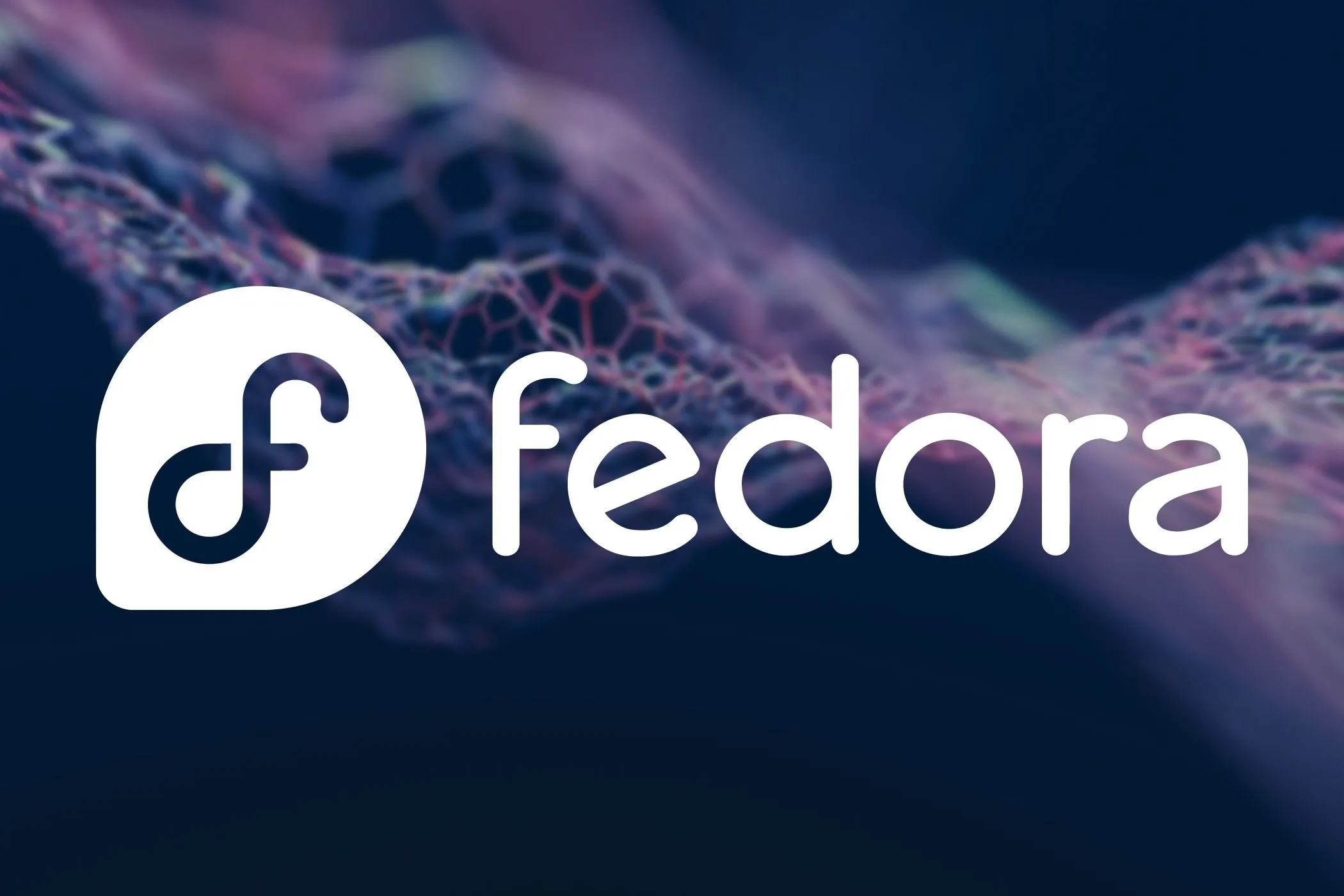 Laptop hiển thị logo Fedora Linux trên màn hình.