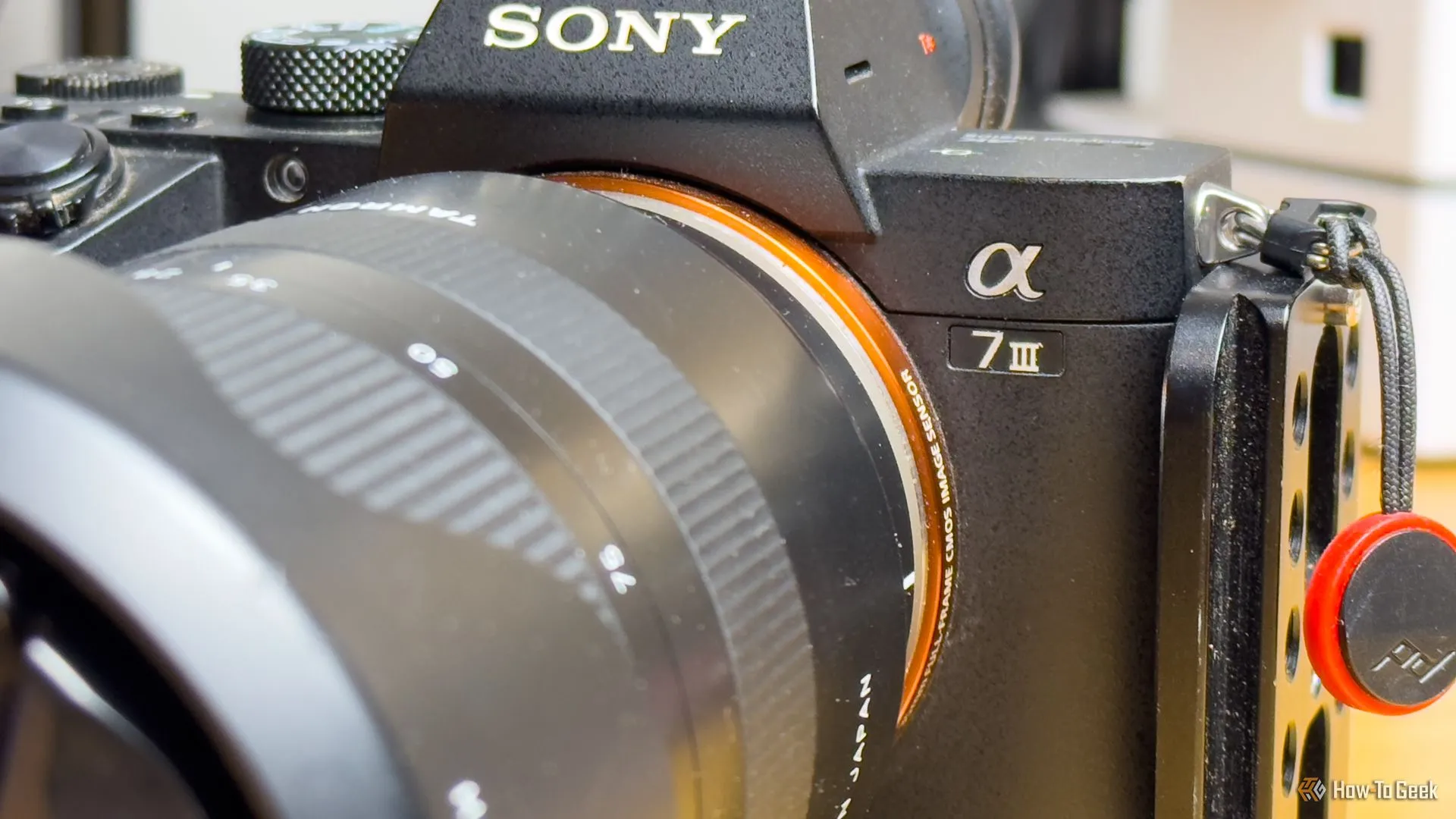 Máy ảnh Sony A7 III mirrorless, cần sao lưu dữ liệu ảnh an toàn