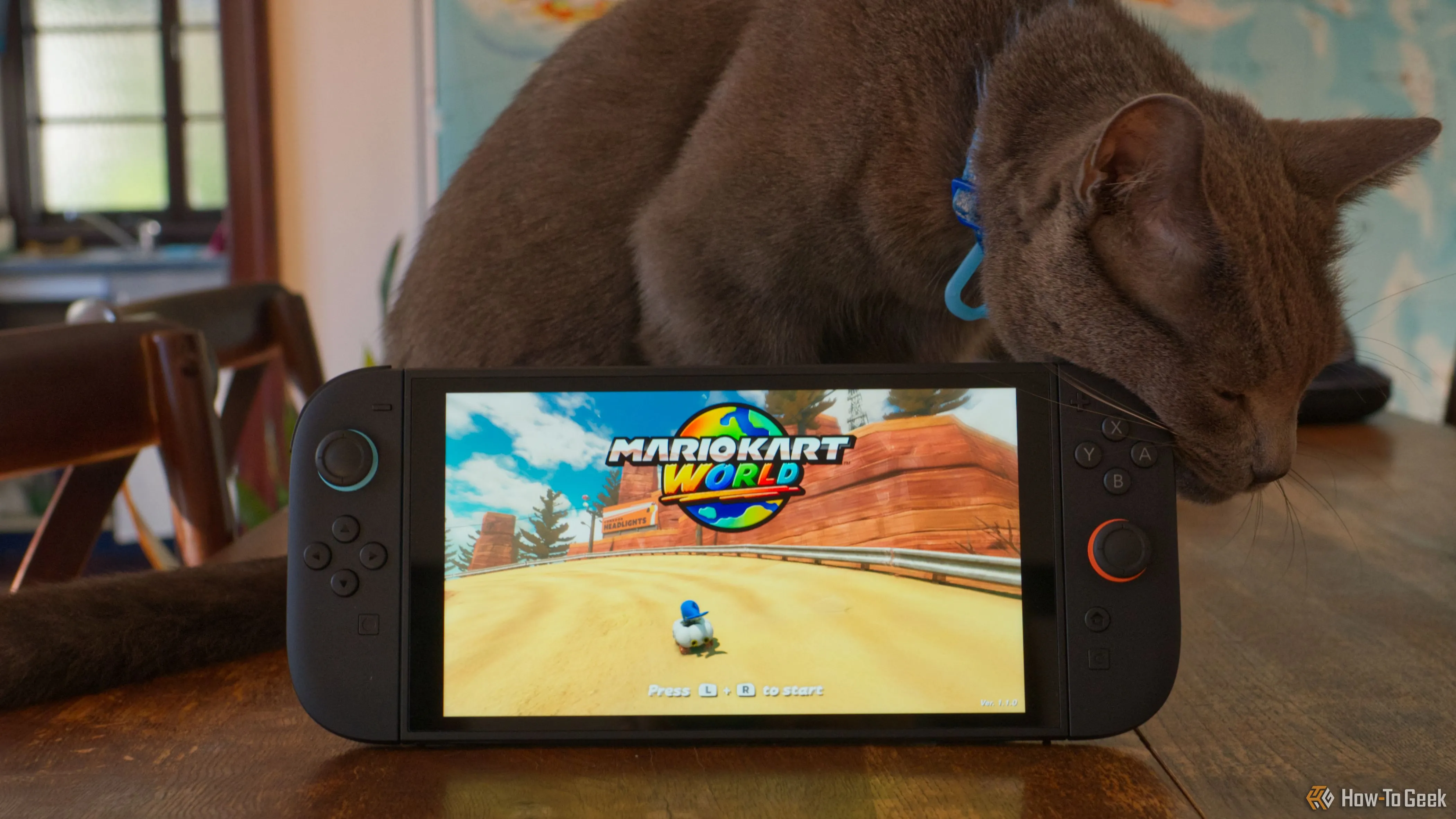 Máy chơi game Nintendo Switch 2 được đặt cạnh một chú mèo, minh họa kích thước.