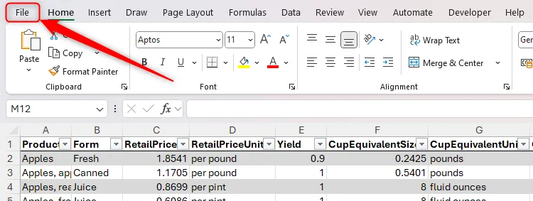 Menu Tệp trên thanh ribbon của Microsoft Word (áp dụng tương tự cho Excel)