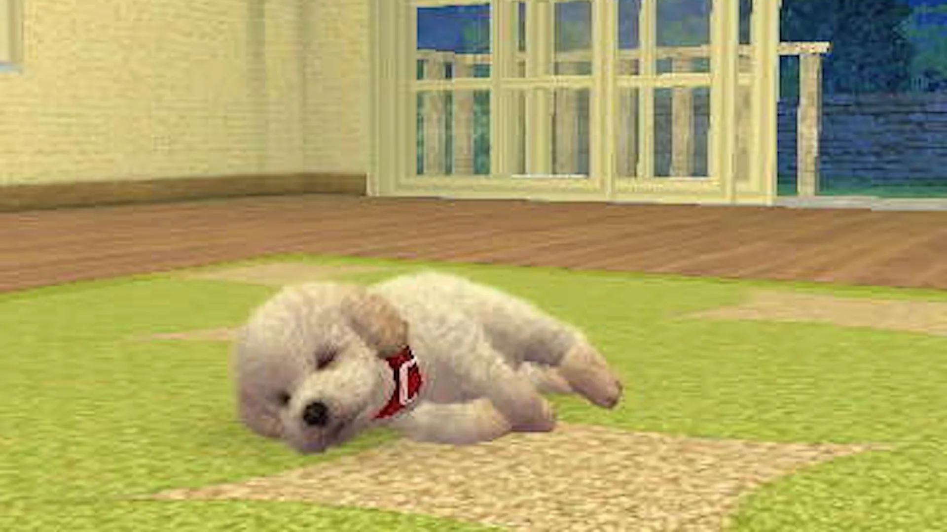 Một chú chó đang ngủ say trong phòng khách trong Nintendogs, tượng trưng cho sự &quot;ngủ yên&quot; của series game nuôi thú ảo này