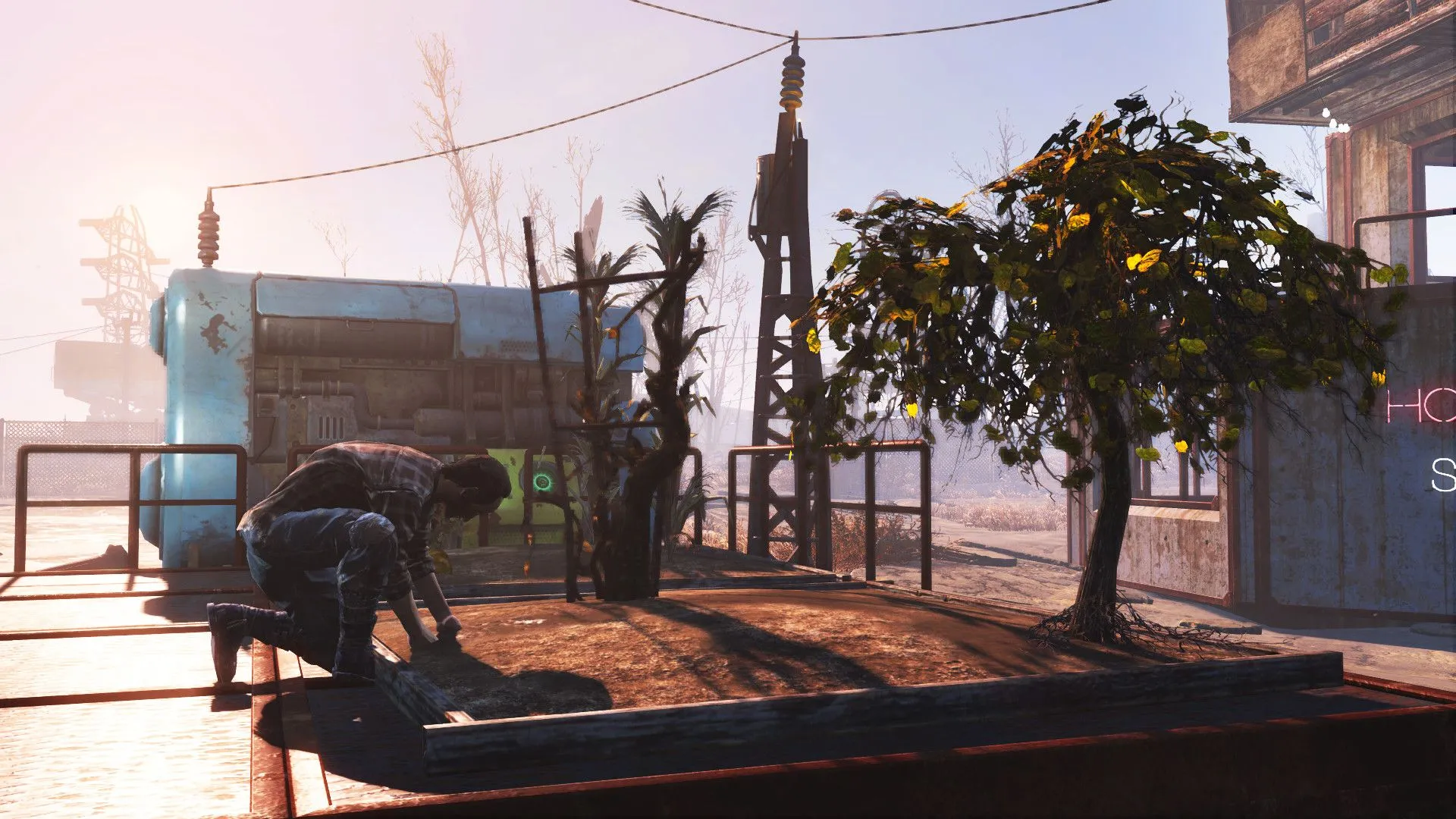 Một người chơi đang chăm sóc cây trồng tại một khu định cư trong Fallout 4