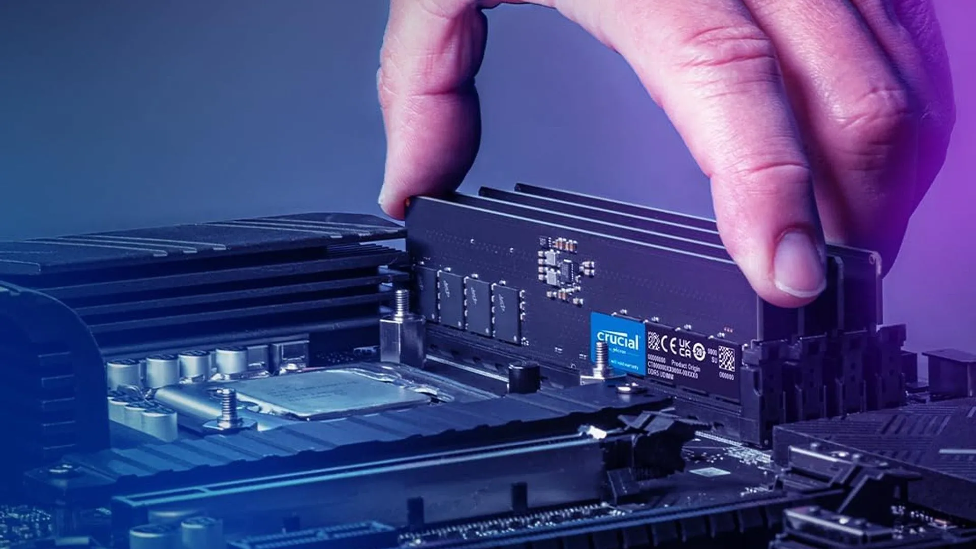 Một người đang lắp đặt thanh RAM Crucial DDR5 16GB vào khe cắm trên bo mạch chủ
