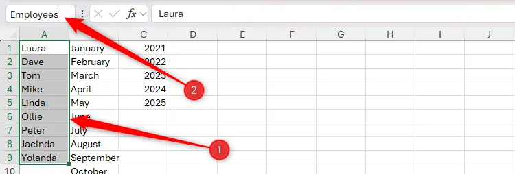 Một vùng ô trong Excel chứa tên người được chọn và vùng này được đổi tên thành &quot;Employees&quot; trong hộp tên.