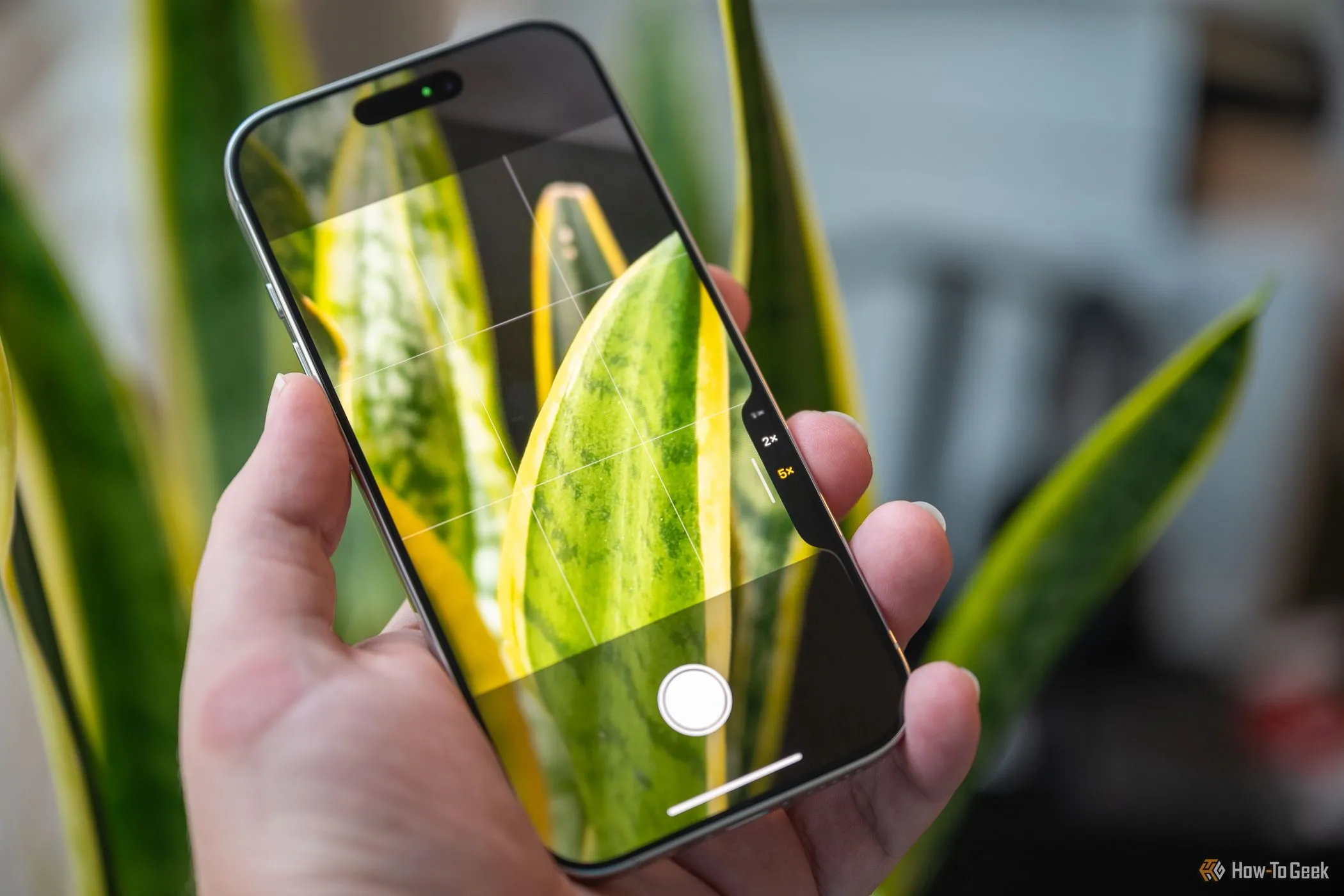 Người đang chụp ảnh bằng nút Camera Control trên iPhone 16 Pro theo chiều dọc