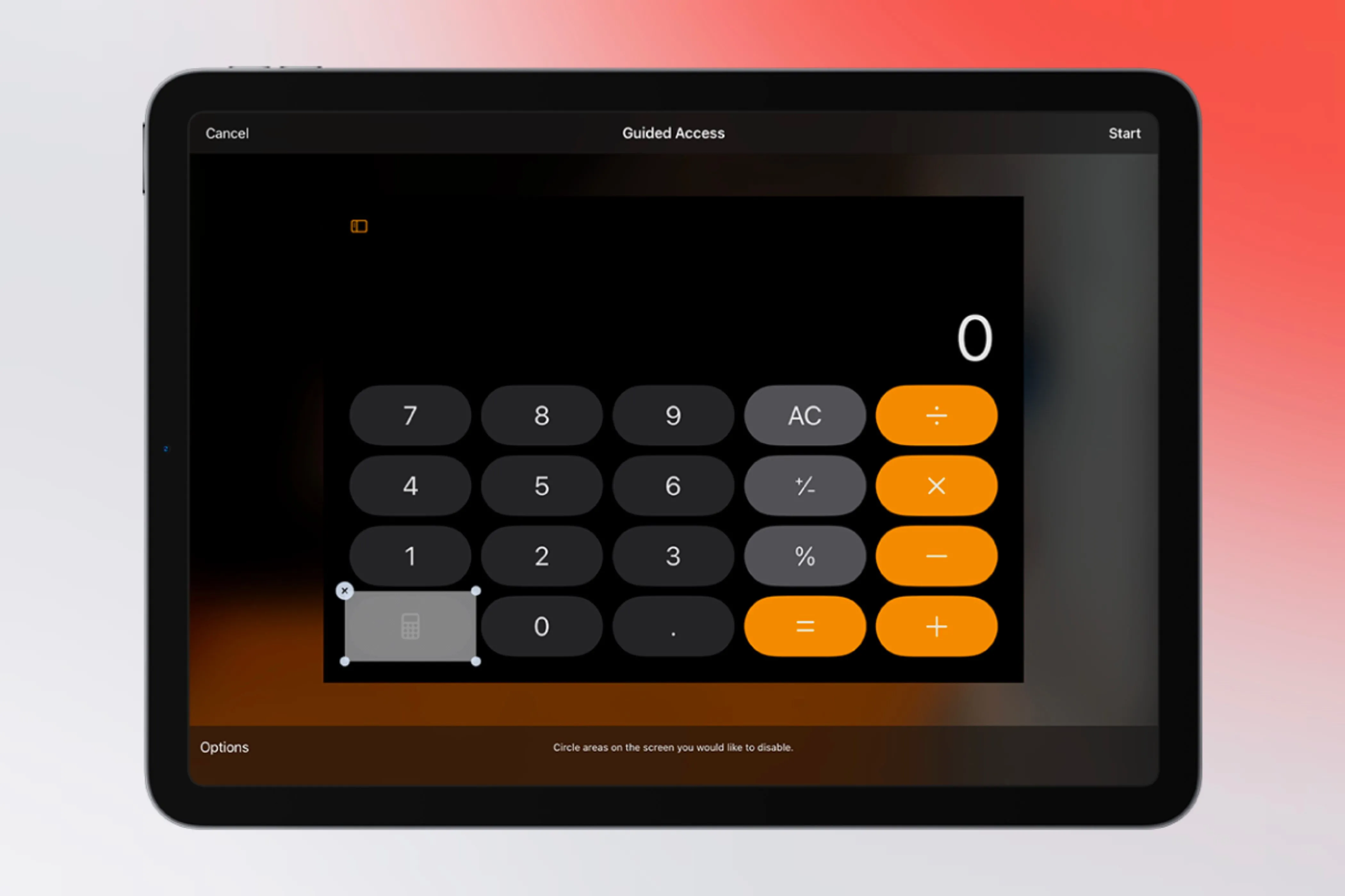 Người dùng bật chế độ Guided Access trên iPad để khóa ứng dụng giải trí cho chó mèo.