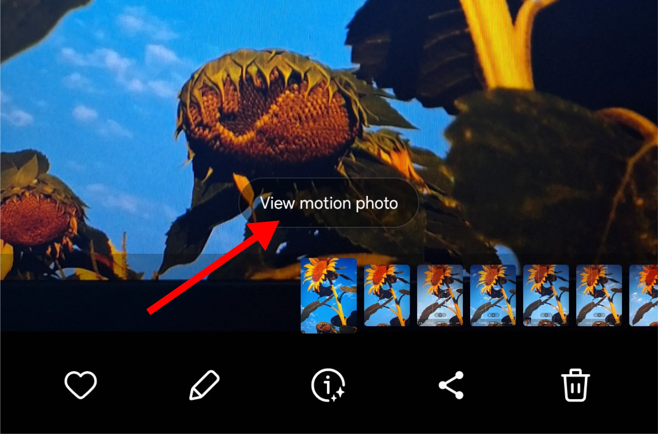 Nút &quot;Xem ảnh động&quot; (View motion photo) xuất hiện khi xem Motion Photo trong ứng dụng Thư viện Samsung.