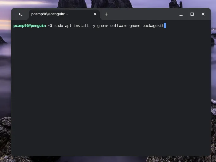 Quá trình cài đặt ứng dụng bằng lệnh &quot;apt&quot; thông qua Terminal Linux trên Chromebook.