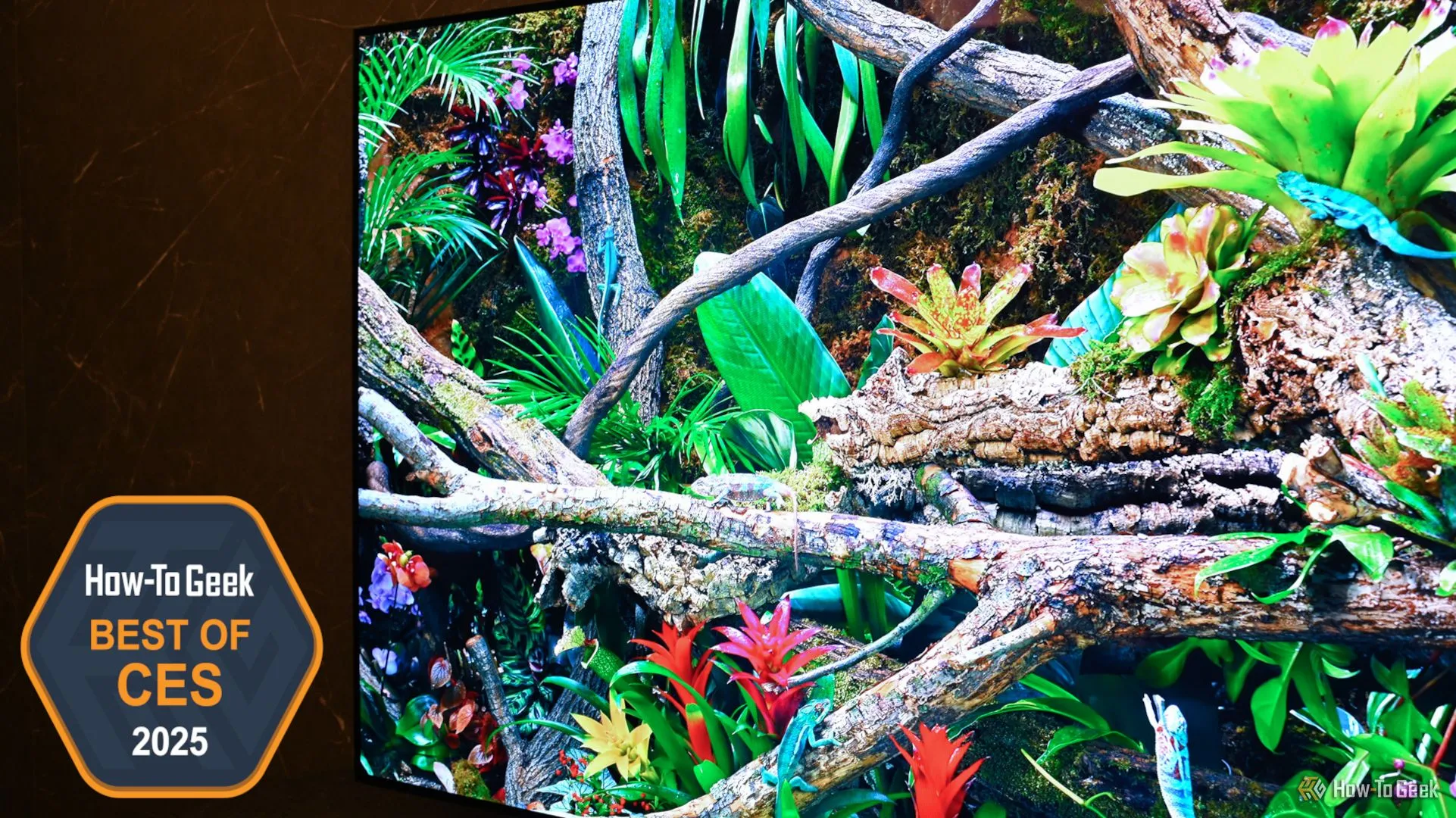 Smart TV Samsung OLED S95F- TV thế hệ mới trình diễn tại CES 2025