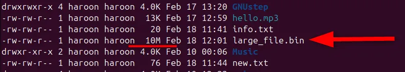 Tạo file với kích thước cụ thể 10MB bằng lệnh fallocate và kiểm tra bằng ls -lh trên Linux.