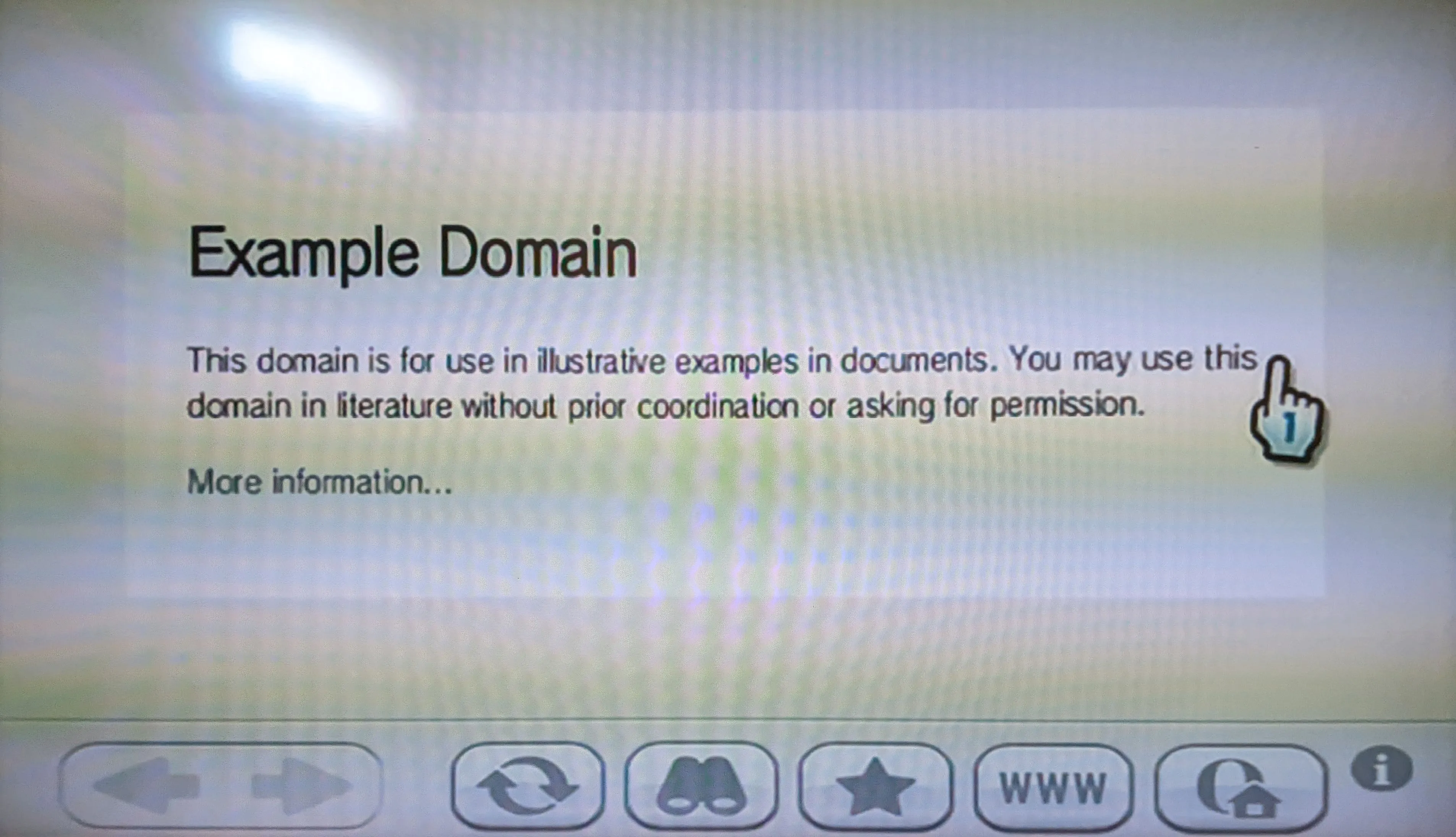 Trình duyệt trên Nintendo Wii hiển thị trang web example.org với nội dung văn bản đơn giản