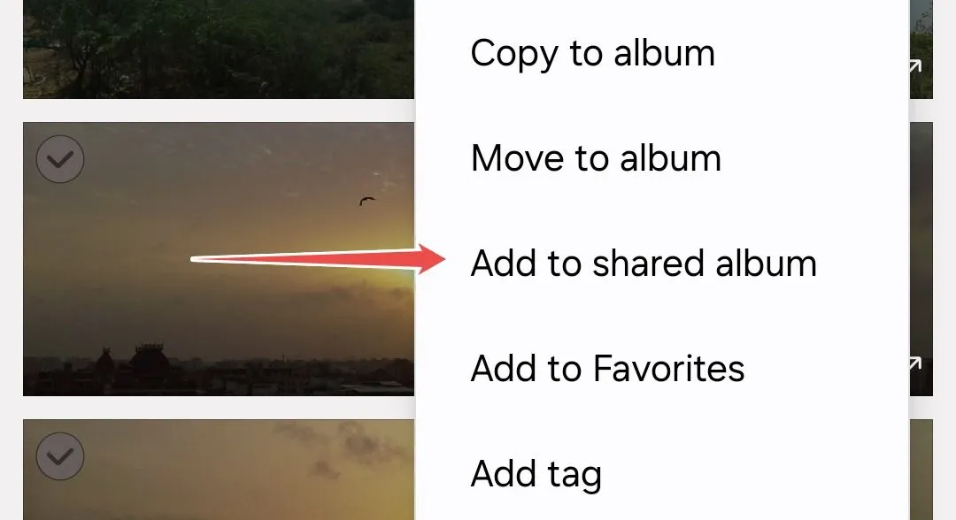 Tùy chọn Thêm vào album chia sẻ trong Thư viện Samsung